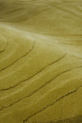 Sand Drift/ Lop - Olive